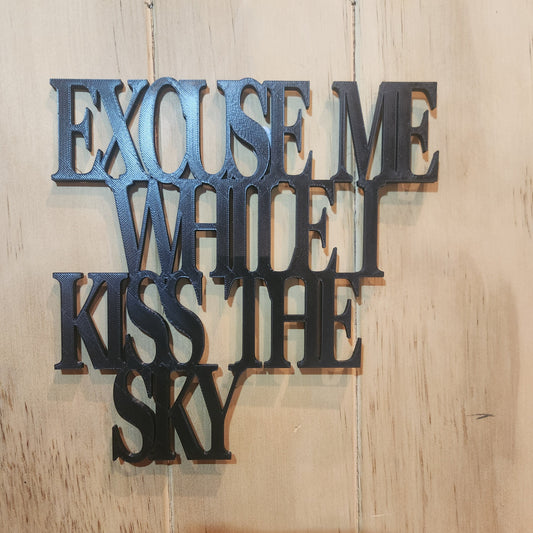 Bold black 3D printed wall sign reading 'Excuse Me While I Kiss the Sky' mounted on a whitewashed wooden wall — purple Jimi Hendrix classic rock wall art