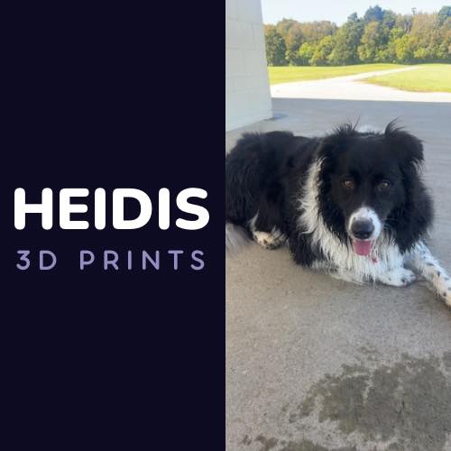 Heidi's 3d prints